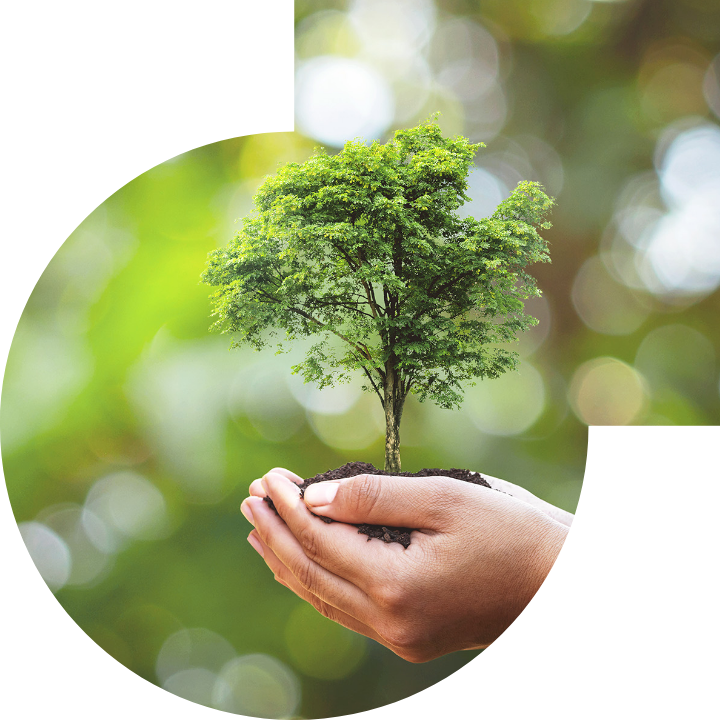 關懷人類、文化、環境與社會